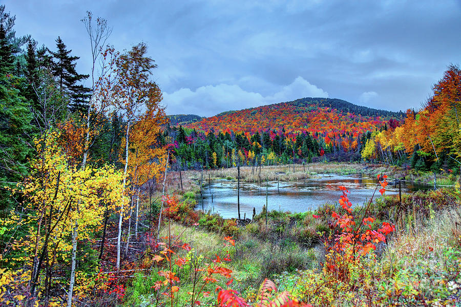 Autumn in the Adirondacks Photograph by Denis Tangney Jr - Pixels