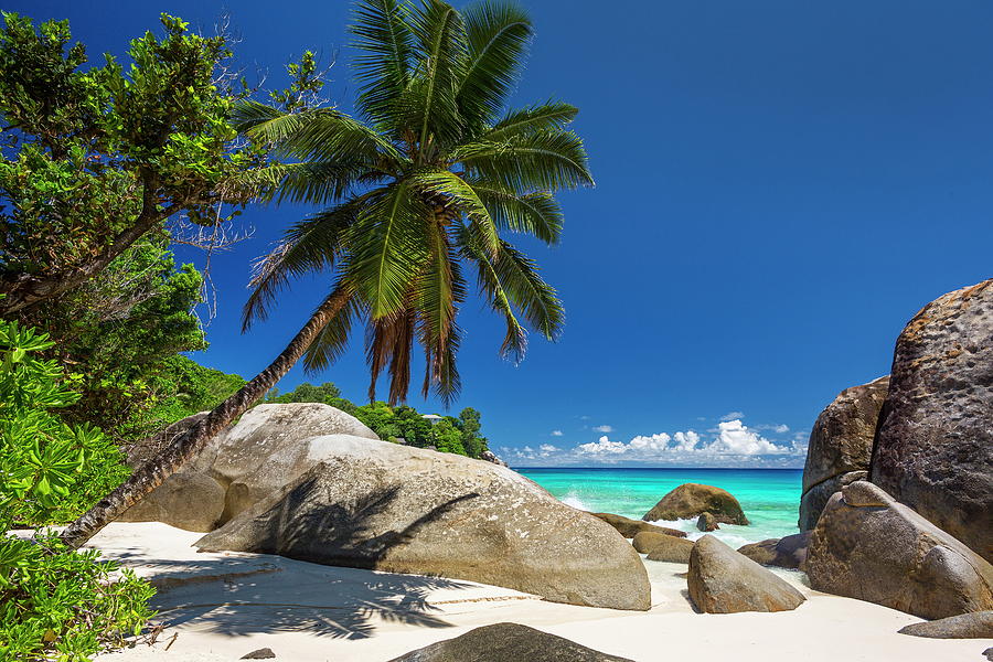 Beach With Granite Rocks, Seychelles #5 Photograph by Reinhard Schmid