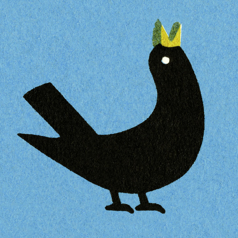 Blackbird Drawing - Black Bird #5 by CSA Images