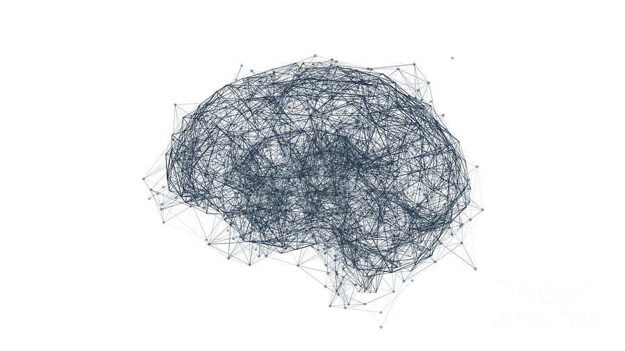 Brain Neural Network #5 Photograph by Jesper Klausen/science Photo Library