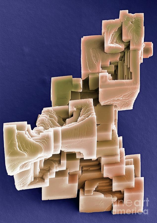 Calcium Carbonate Crystals #5 Photograph by Steve Gschmeissner/science Photo Library