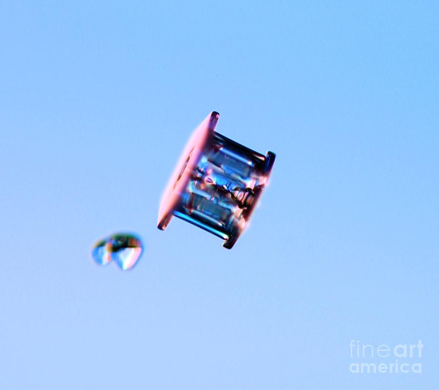 Capped Column Snowflake Photograph by Libbrecht/science Photo