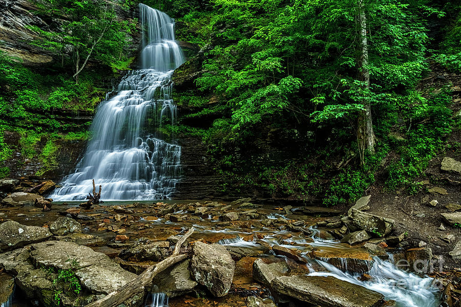 Cathedral Falls by Thomas R Fletcher Cathedral Falls by Thomas R Fletcher