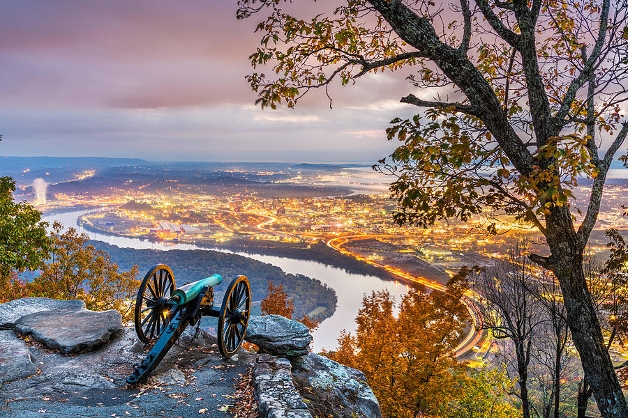 Tree Photograph - Chattanooga, Tennessee, Usa View #5 by Sean Pavone