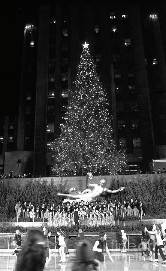 Christmas Tree At Rockefeller Center #5 Photograph by Bettmann