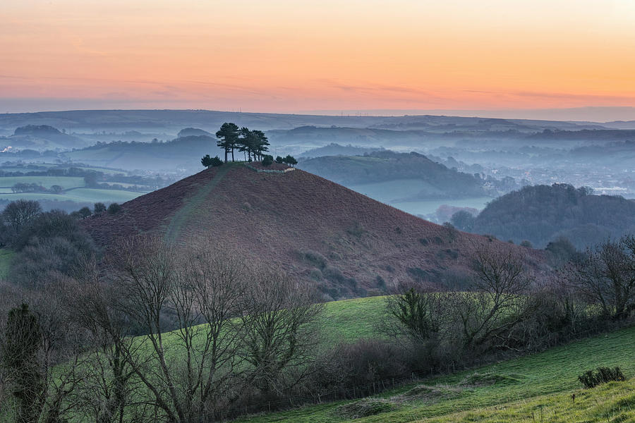 Landscape Photograph - Colmers Hill - England #5 by Joana Kruse