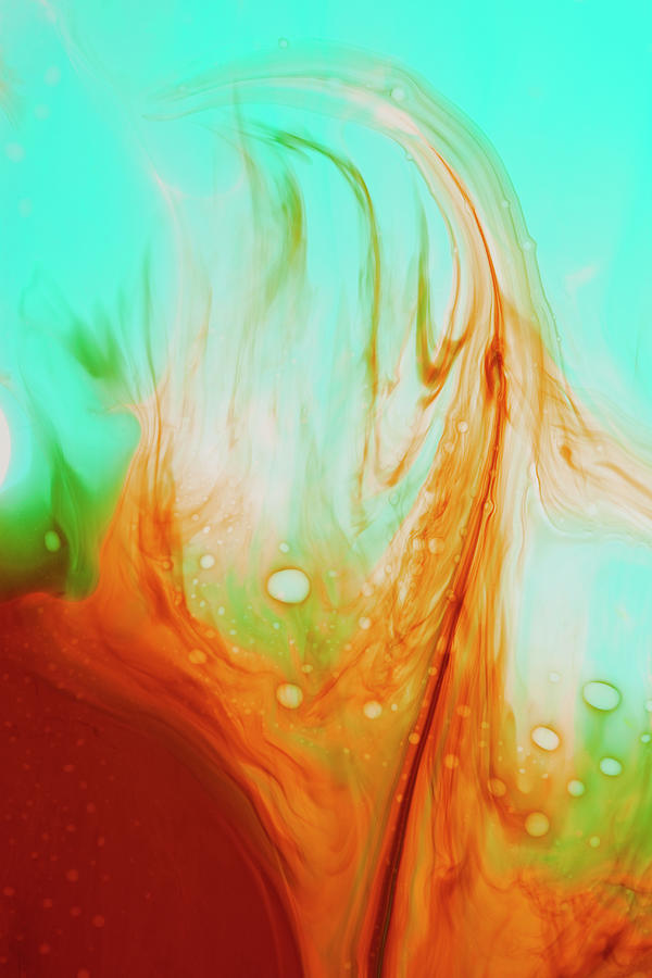 Colored Liquids #5 Photograph by Paul Taylor
