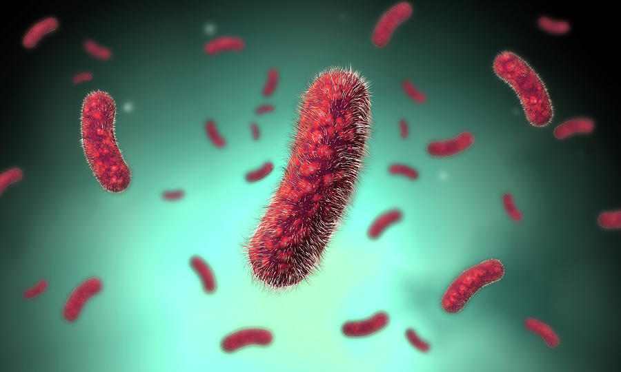 Conceptual Image Of The Bacillus #5 Photograph by Stocktrek Images