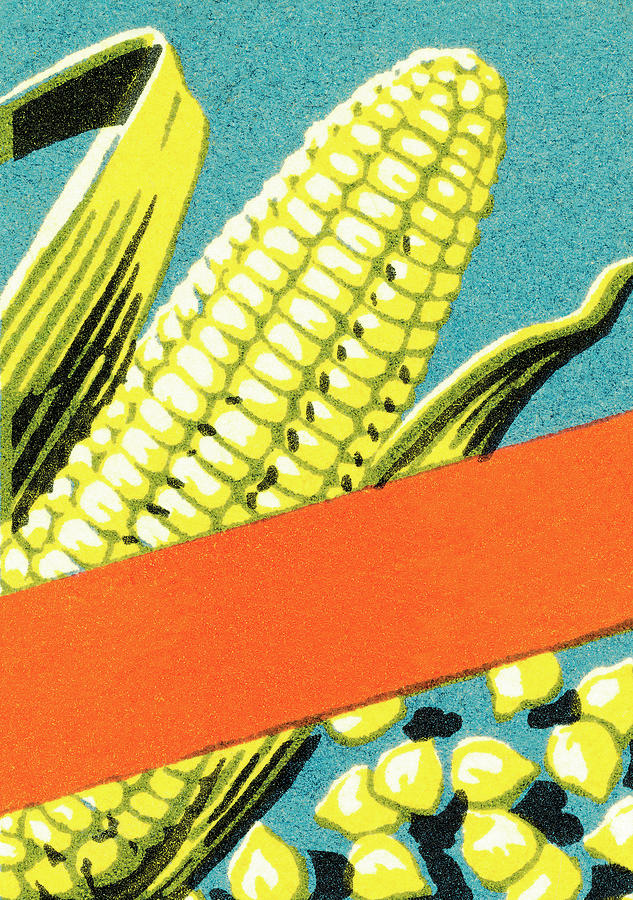 Vintage Drawing - Corn #5 by CSA Images