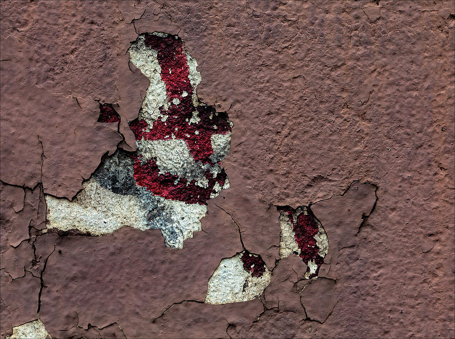 Cracked and Peeling Paint #5 Photograph by Robert Ullmann