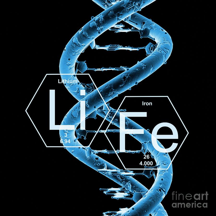 Dna And Life Photograph by Mehau Kulyk/science Photo Library | Pixels