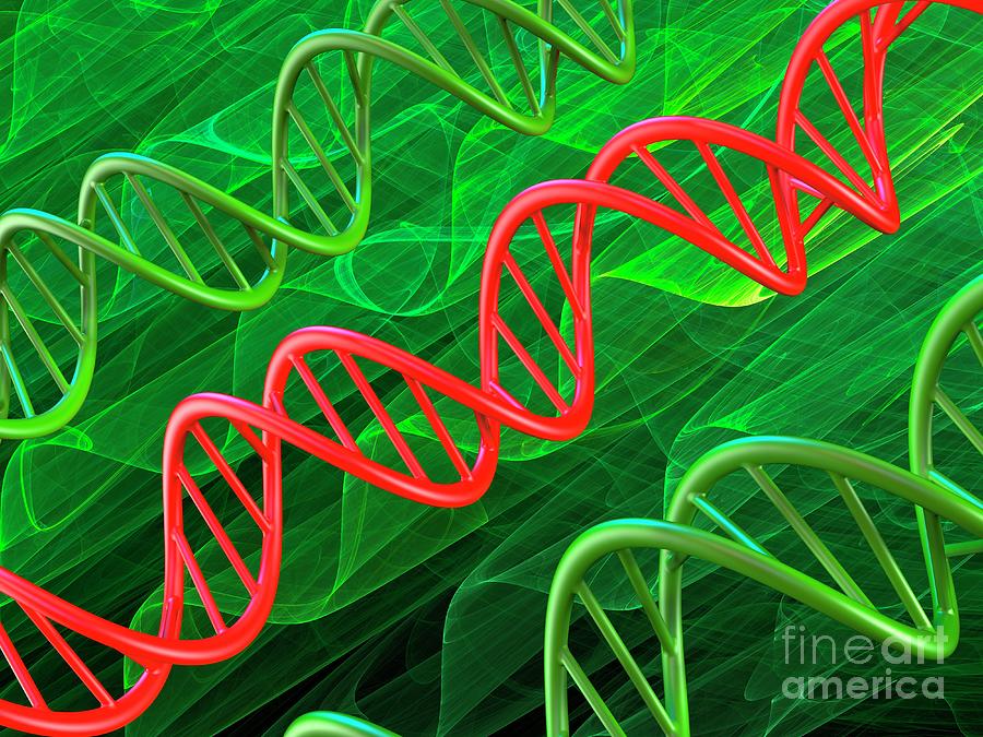 Dna Molecules Photograph By Laguna Design Science Photo Library Pixels