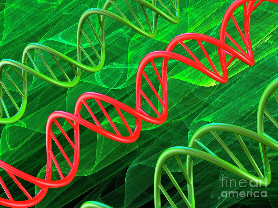 Dna Molecules Photograph By Laguna Design/science Photo Library - Pixels