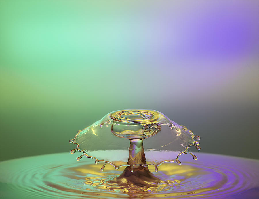 Drop Dance Photograph by Yousef Sayadi - Fine Art America