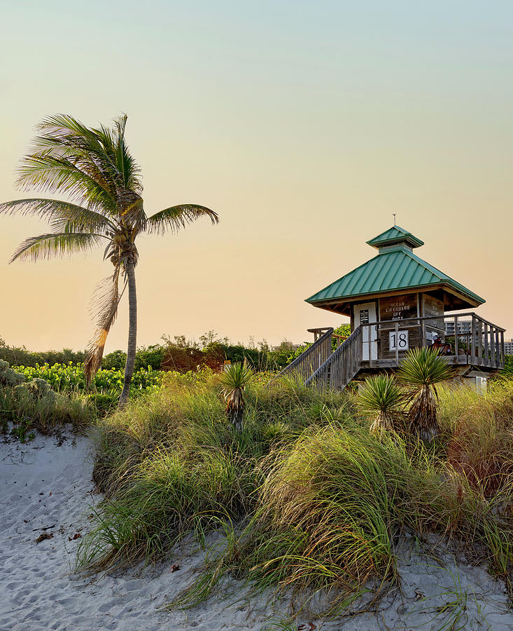 Florida, Boca Raton, Lifeguard Tower With Palm Tree At The Beach #5 Digital Art by Laura Diez