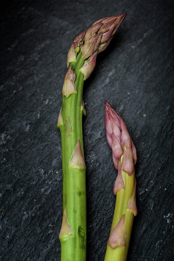 Asparagus Photograph - Fresh Green Asparagus #5 by Nailia Schwarz