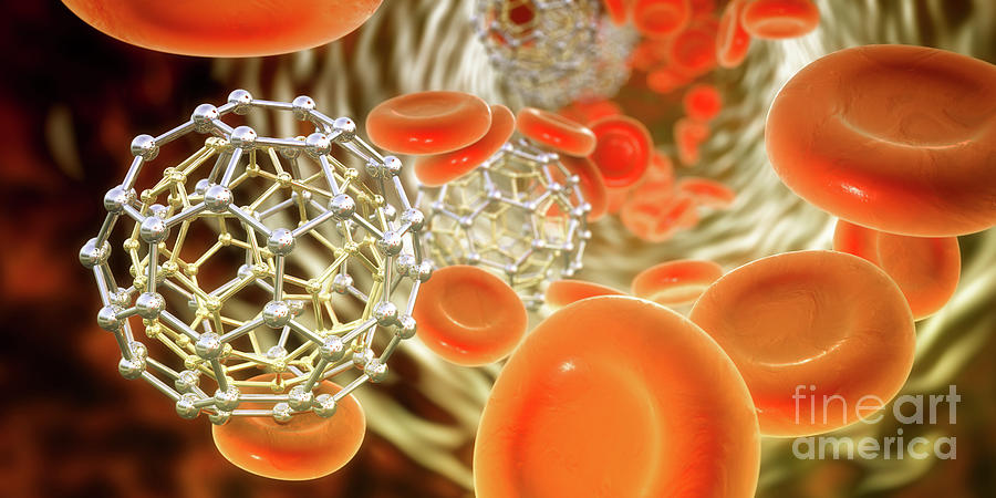 Fullerene Nanoparticles In Blood #5 Photograph by Kateryna Kon/science Photo Library
