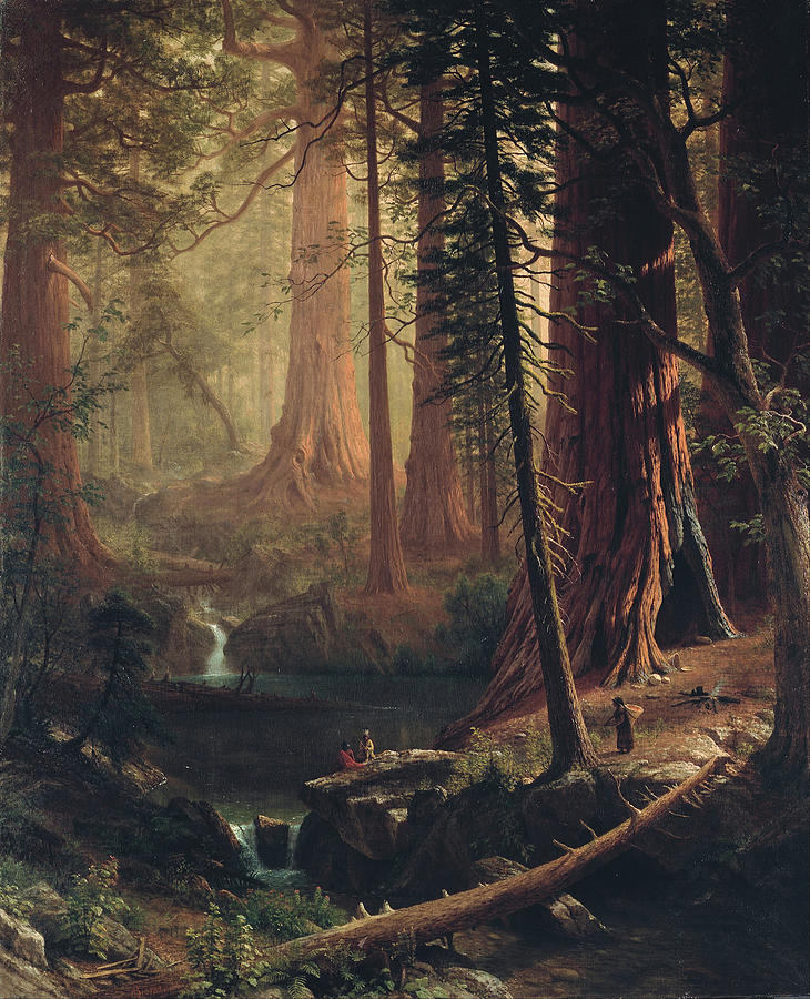 Giant Redwood Trees of California  Painting by Albert Bierstadt
