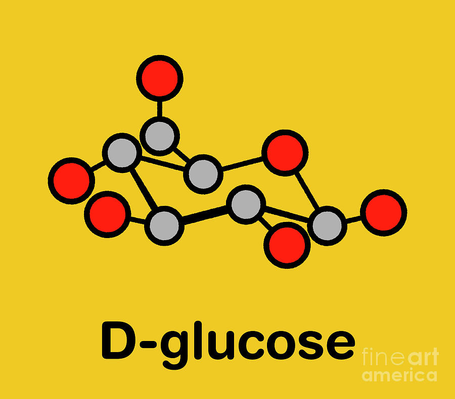 Glucose Grape Sugar Molecule Photograph by Molekuul/science Photo ...