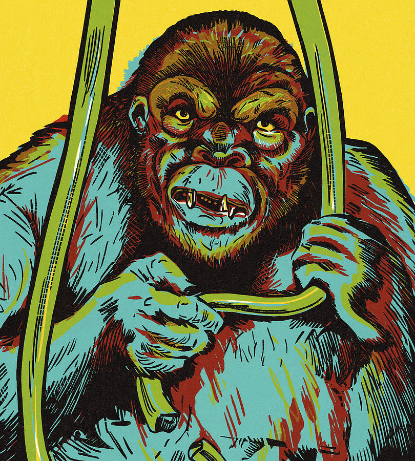 Vintage Drawing - Gorilla #5 by CSA Images