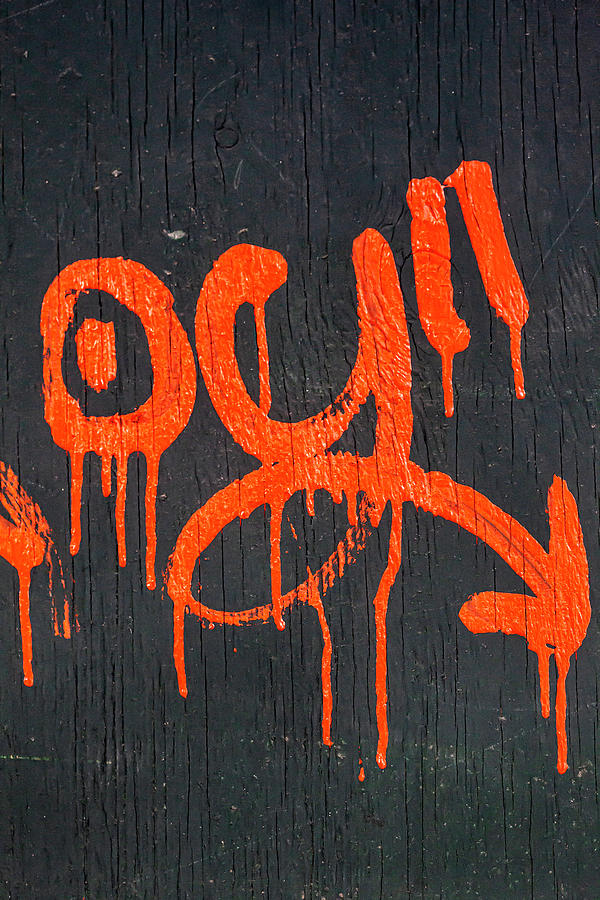 Graffiti #5 Photograph by Robert Ullmann