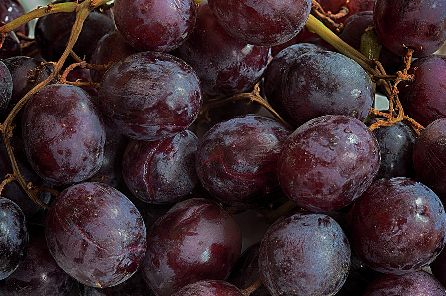 Grape Still Life #5 Photograph by Robert Ullmann