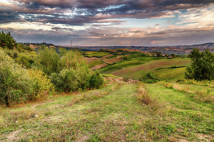 Green rolling hills    #5 Photograph by Vivida Photo PC