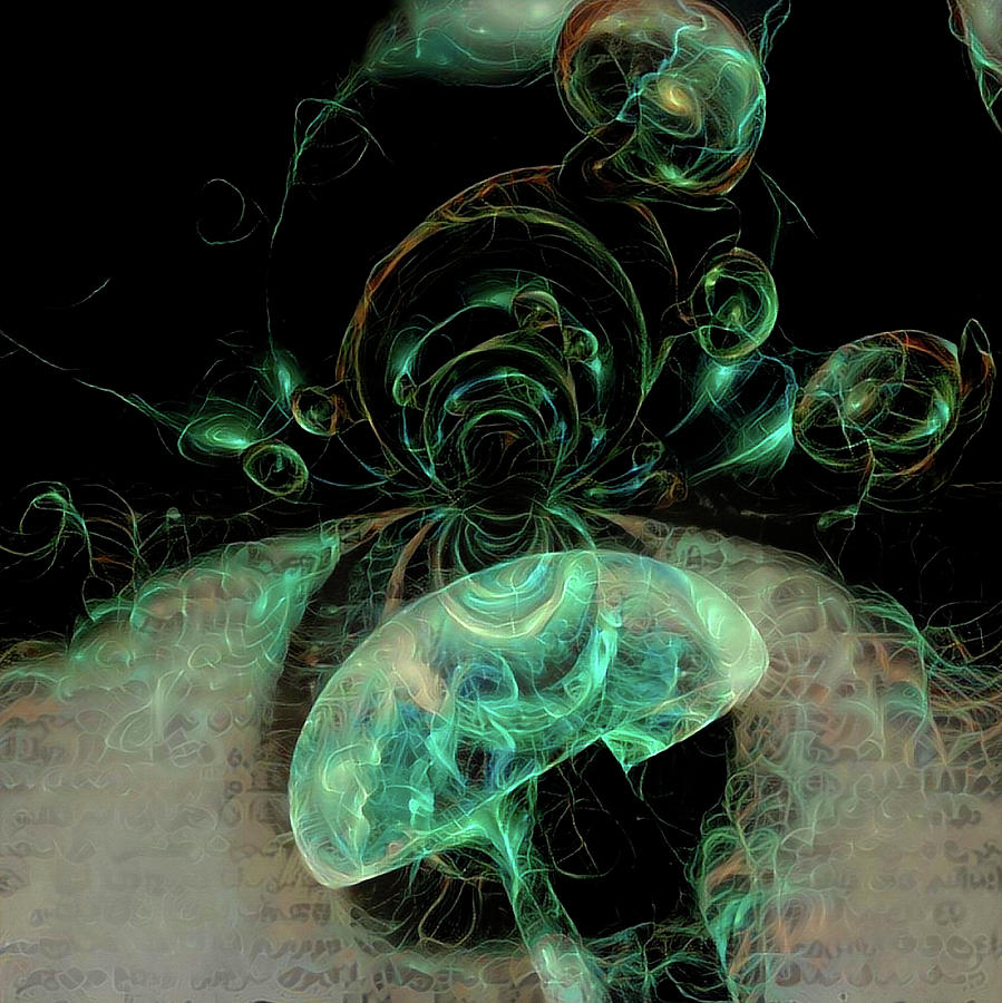 Abstract Digital Art - Hallucinogenic mushroom #5 by Bruce Rolff
