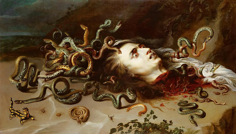 Snake Painting - Head of Medusa #5 by Peter Paul Rubens