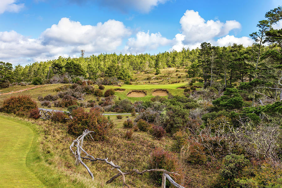 #5 hole Bandon Trails Golf Course #5 Photograph by Mike Centioli