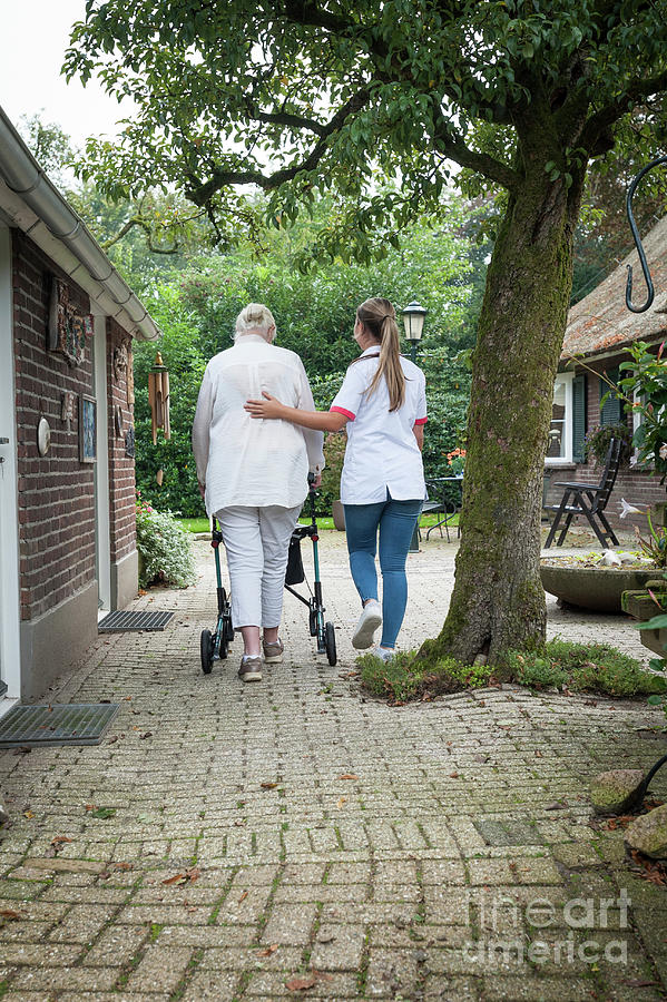 Home Care Nursing #5 Photograph by Arno Massee/science Photo Library