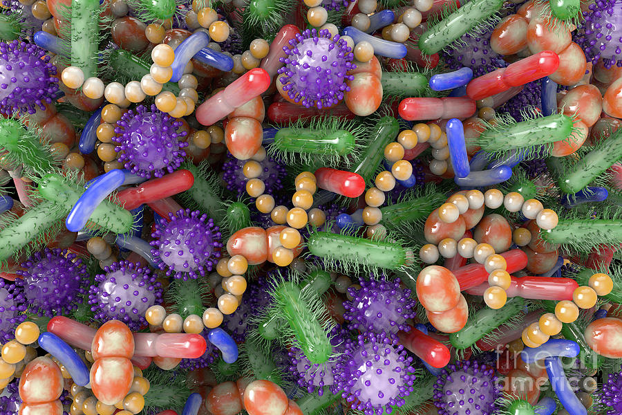 Human Microbiome #5 Photograph by Roger Harris/science Photo Library