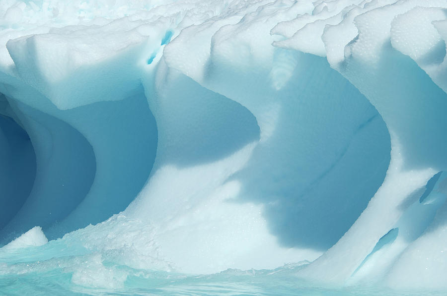 Iceberg Along The Antarctic Peninsula #5 Photograph by Mint Images - David Schultz
