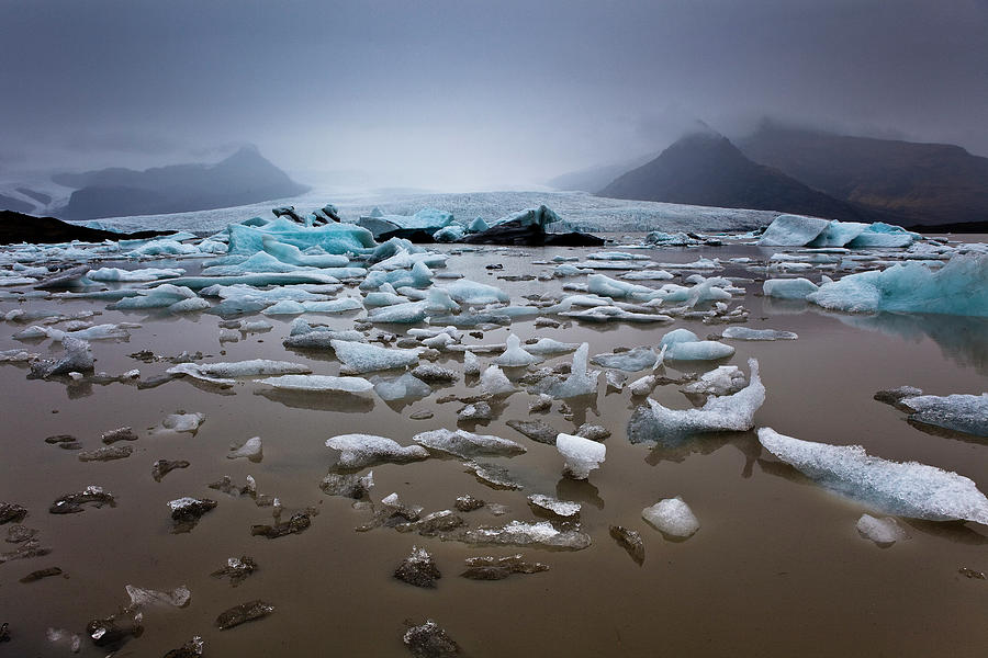 Icebergs Carved From Fjallsjokull #5 Photograph by Richard Ianson