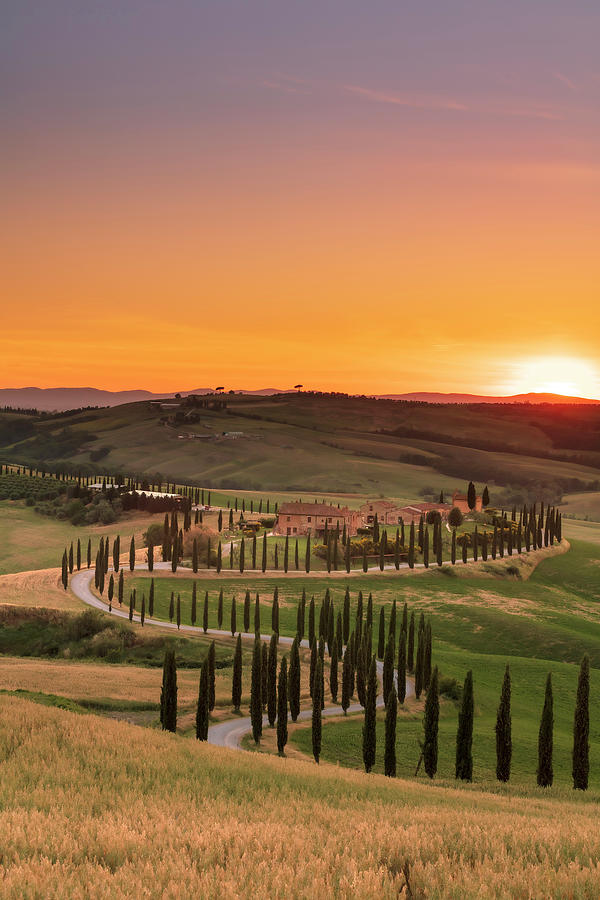 Rural Scene Digital Art - Italy, Tuscany, Siena District, Asciano, View Of A Farmhouse With The Sun Setting On The Cypress-lined Avenue #5 by Maurizio Rellini