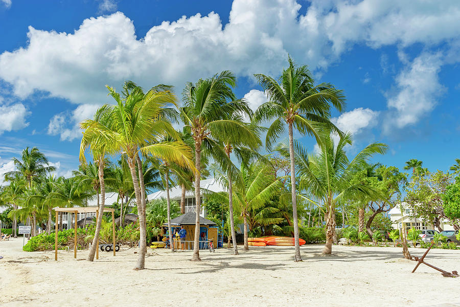 Kaibo Beach, Cayman Islands #5 Digital Art by Angela Pagano