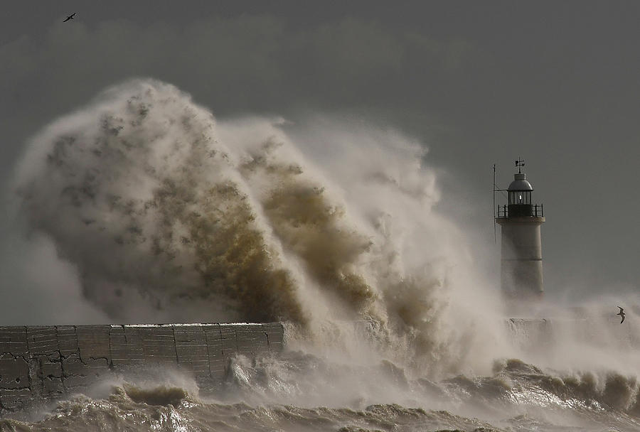 Large Waves Hit The Harbour Wall Photograph By Toby Melville - Fine Art 