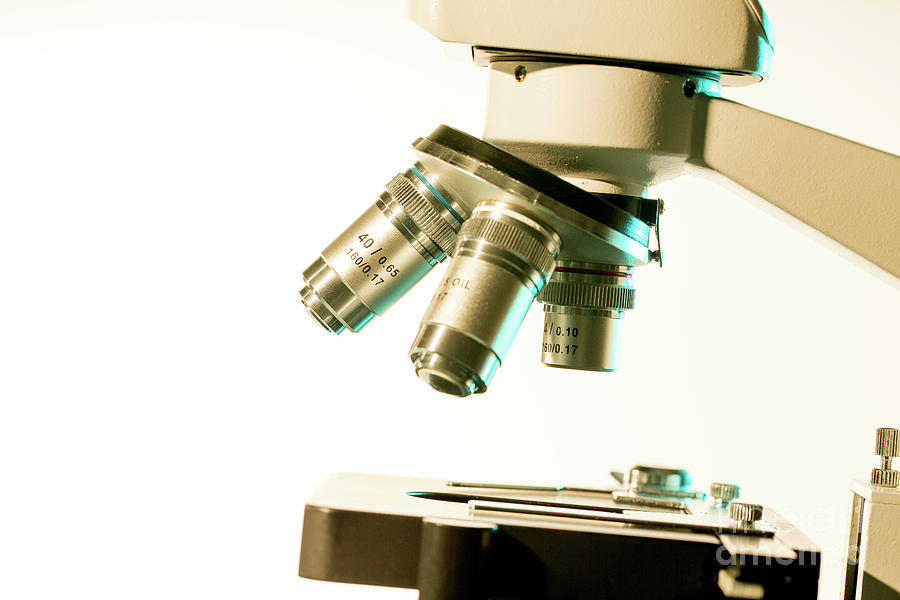 Light Microscope Stage And Lenses #5 Photograph by Wladimir Bulgar/science Photo Library