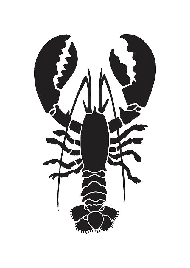 Black And White Drawing - Lobster #5 by CSA Images