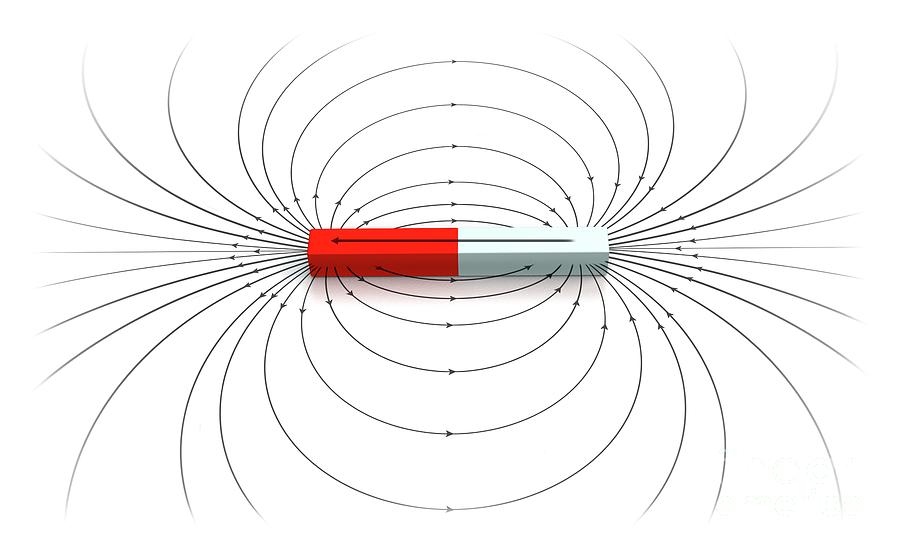 Magnetic Field Of A Bar Magnet #5 Photograph by Mikkel Juul Jensen/science Photo Library
