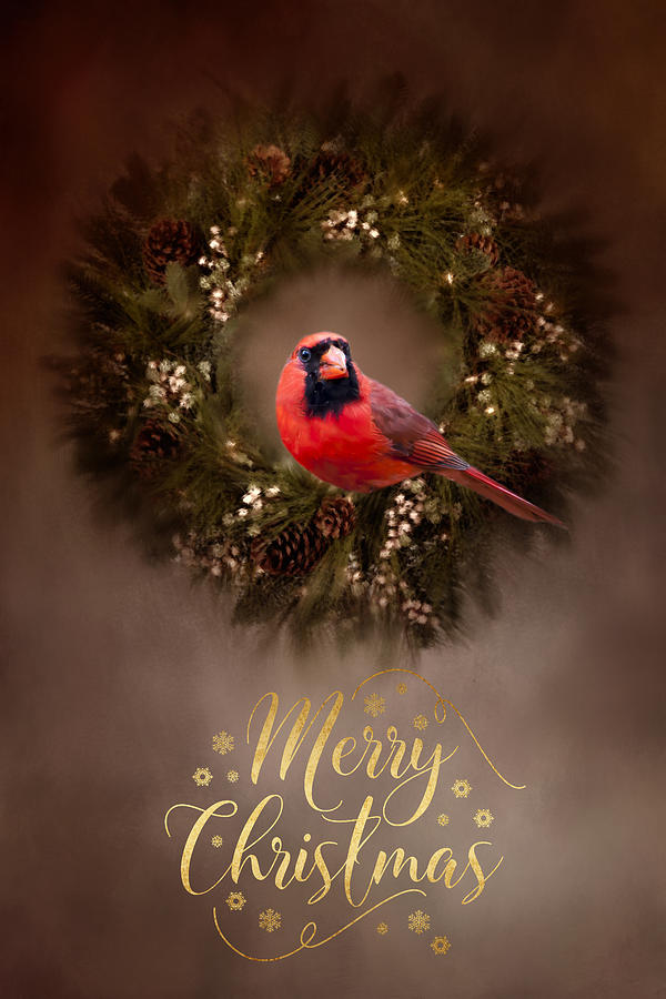 Merry Christmas Photograph by Cathy Kovarik