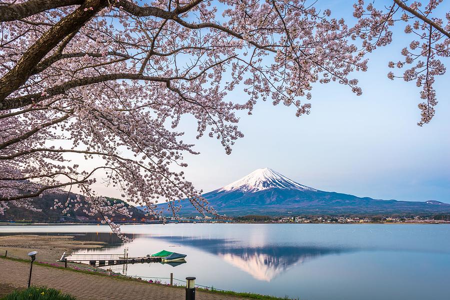 Mt. Fuji, Japan On Lake Kawaguchi Photograph by Sean Pavone - Fine Art ...