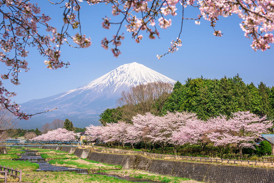 Mt. Fuji Viewed From Rural Shizuoka Photograph By Sean Pavone - Fine 