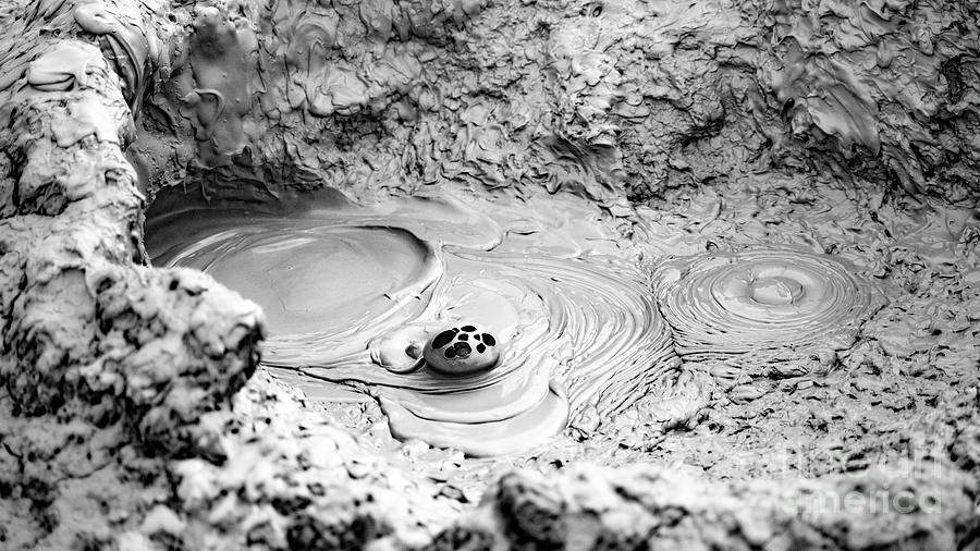 Mud Bubble #7 Photograph by Mark Jackson