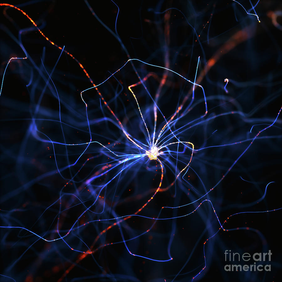 Nerve Cell #5 Photograph by Ktsdesign/science Photo Library