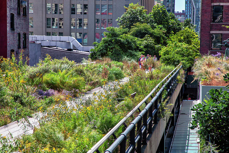 City Digital Art - New York City, Manhattan, High Line Elevated Park #5 by Lumiere