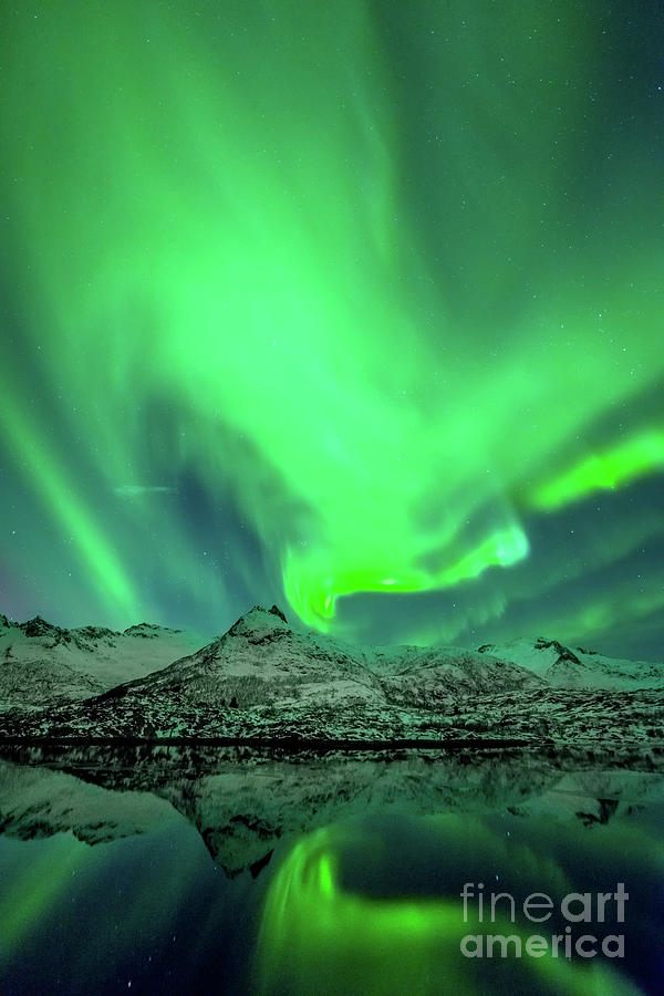 Aurora Borealis Lofoten islands Norway canvas picture print green blue colours