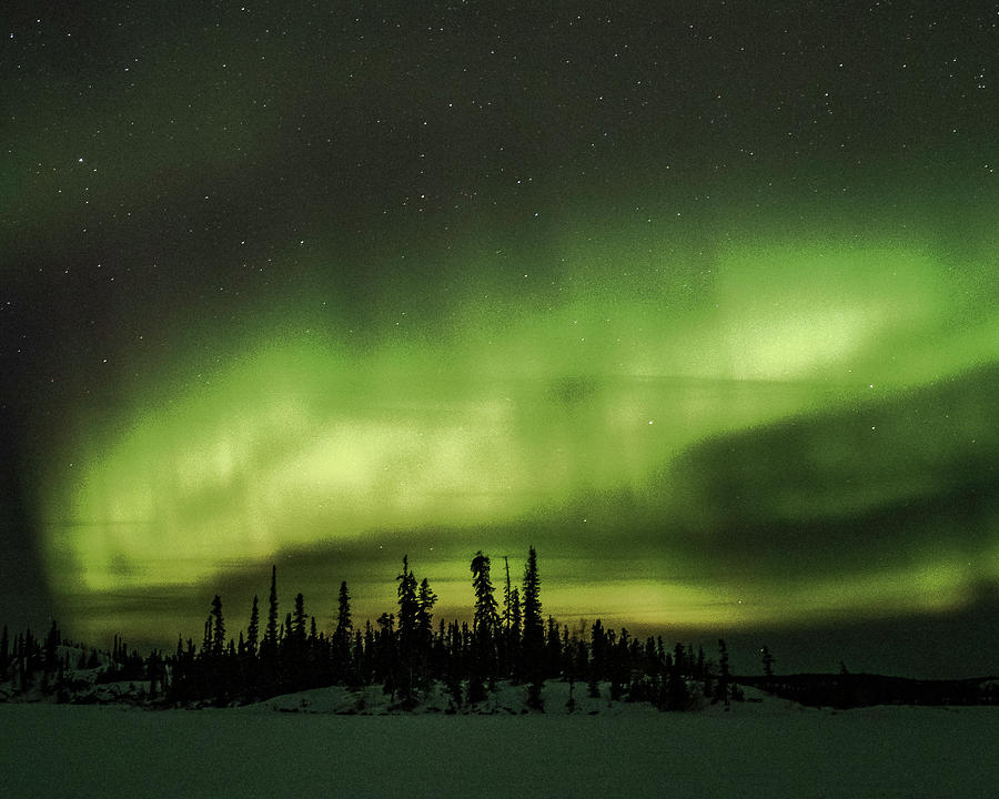 Northern Lights #5 Photograph by Laura Hedien