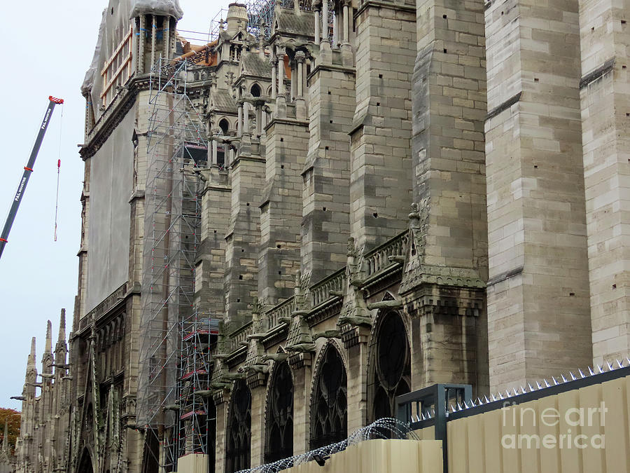 Notre-Dame Re-Construction #5 Photograph by Steven Spak