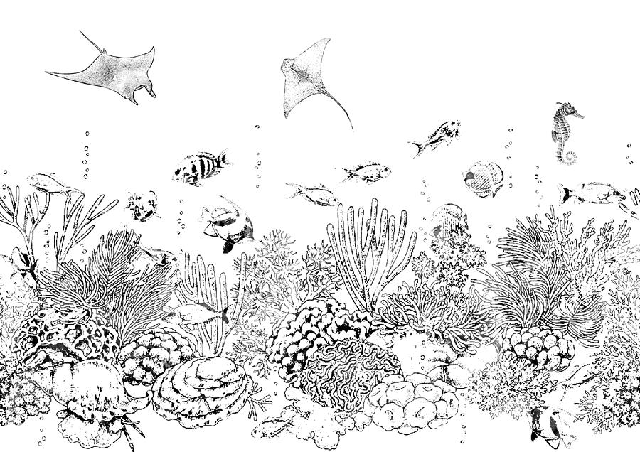 Ocean bottom with fishes Digital Art by Erzebet S | Pixels